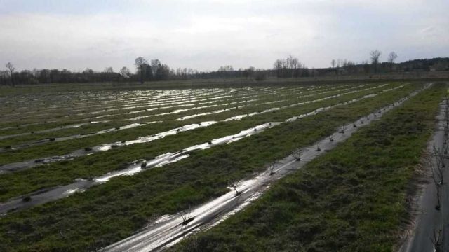 Działka rolna Wyglądały, Wyglądały. Zdjęcie 1