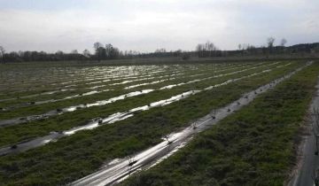 Działka rolna Wyglądały, Wyglądały