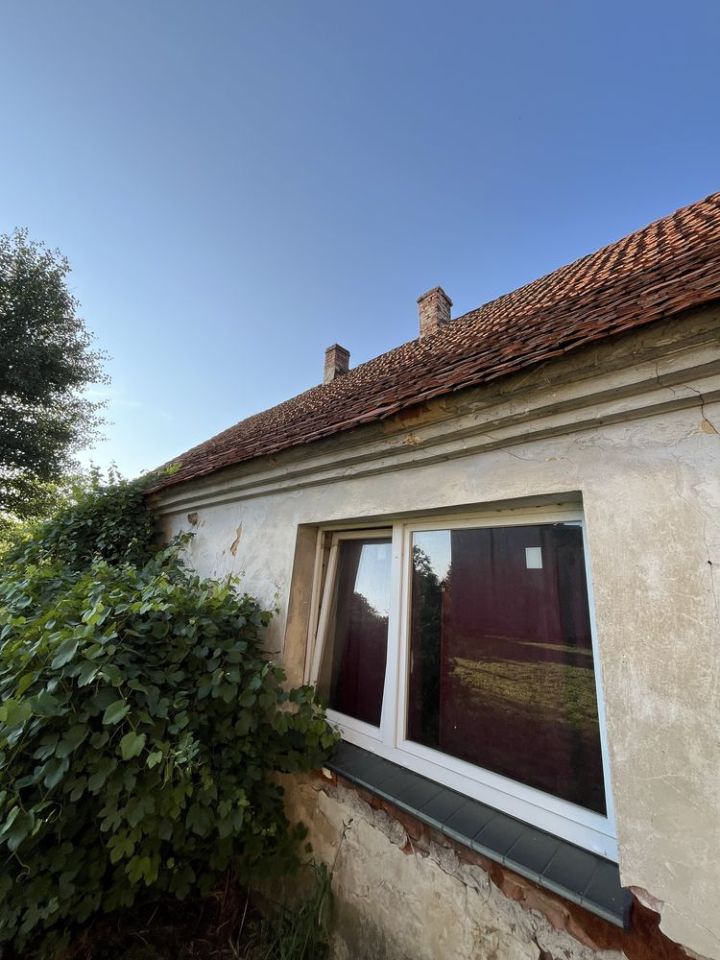 gospodarstwo Jezierzyce Wielkie. Zdjęcie 7