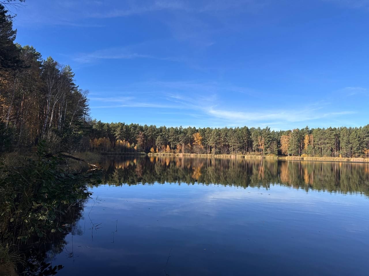 Działka budowlana Chełmica. Zdjęcie 3
