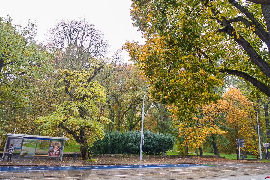 Mieszkanie 4-pokojowe Szczecin Śródmieście, ul. Jacka Malczewskiego. Zdjęcie 43