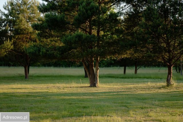 Działka budowlana Płatkownica. Zdjęcie 1