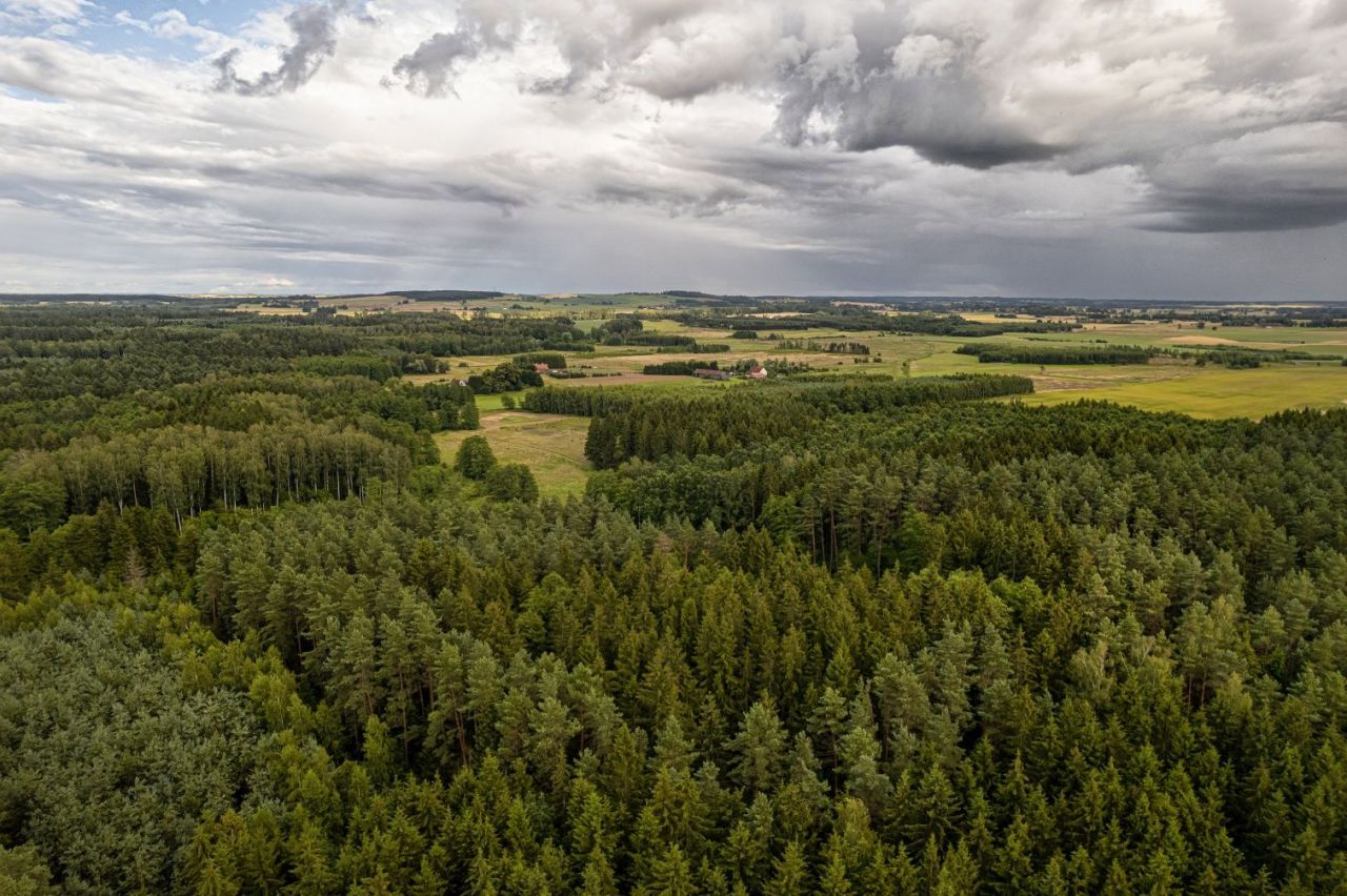 Działka rolna Wilczyny. Zdjęcie 2