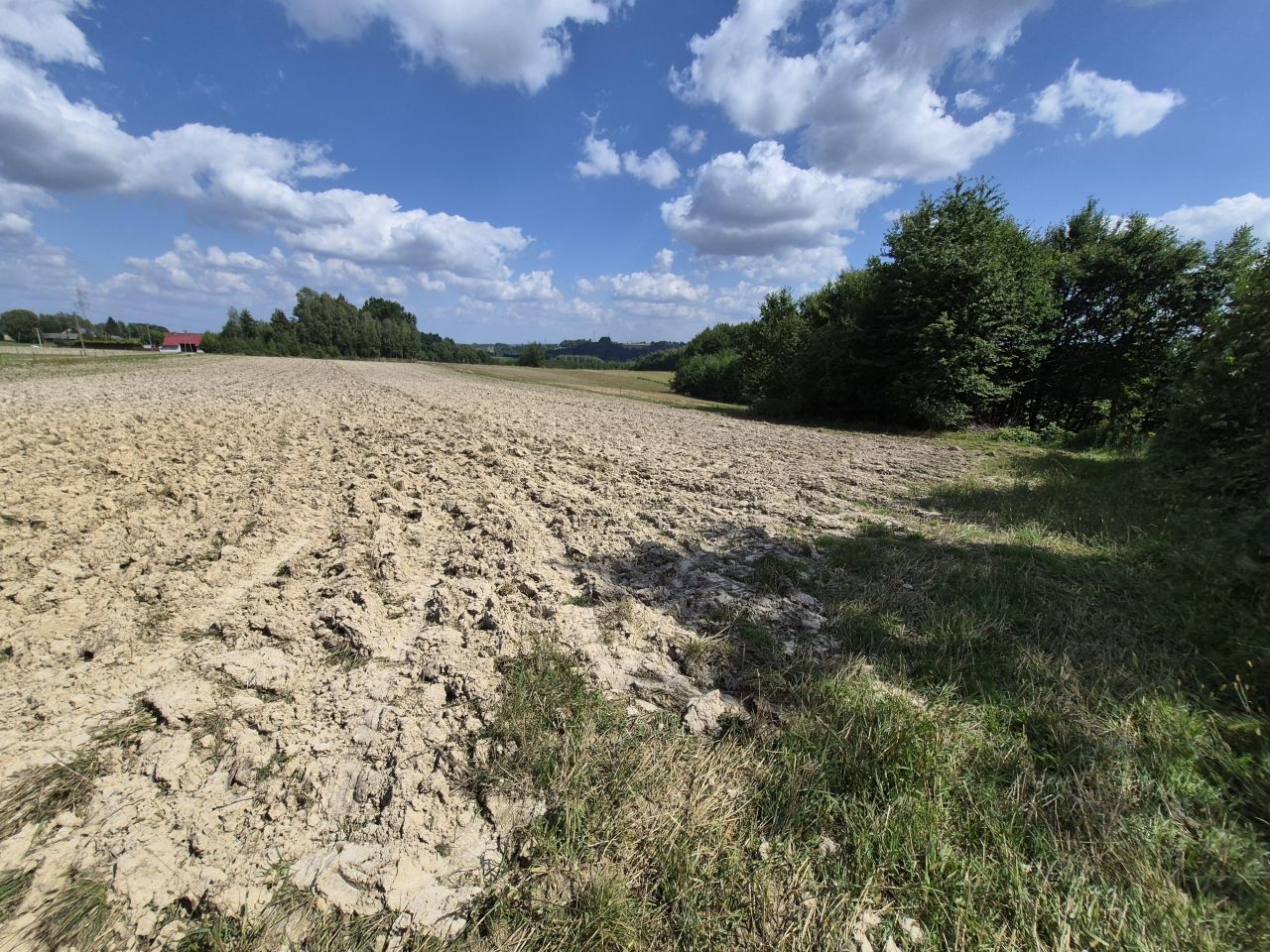Działka rolno-budowlana Szynwałd. Zdjęcie 14