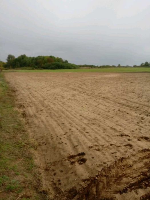 Działka rolno-budowlana Brudzów. Zdjęcie 2