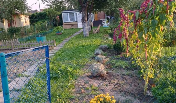 Działka rod Malbork, ul. Toruńska