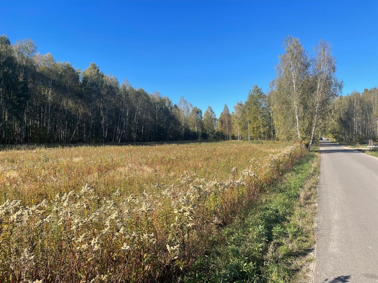 Działka budowlana Żabieniec. Zdjęcie 11