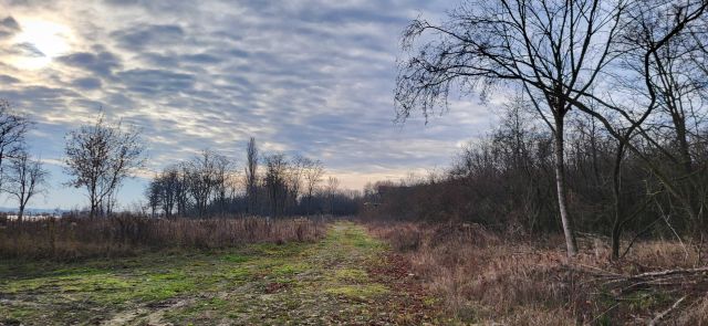 Działka budowlana Jadwisin. Zdjęcie 1