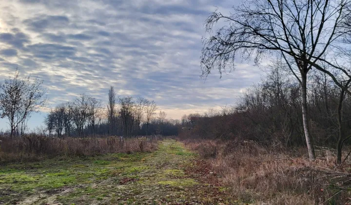 Działka budowlana Jadwisin