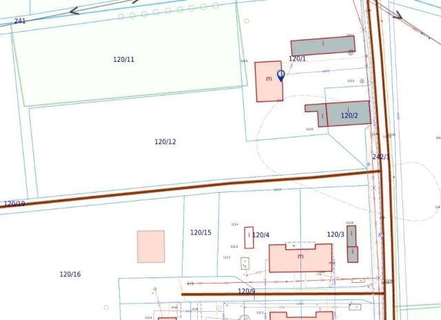 bliźniak Bartniki. Zdjęcie 1