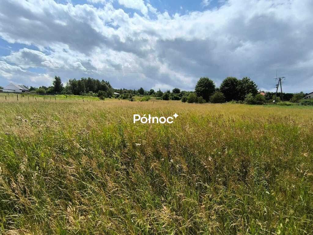 Działka budowlana Rokitno Szlacheckie. Zdjęcie 2