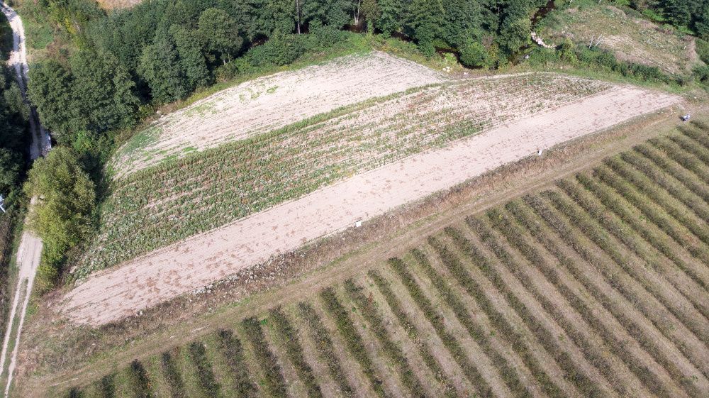 Działka budowlana Miesiączkowo. Zdjęcie 6