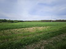 Działka rolno-budowlana Saki. Zdjęcie 2