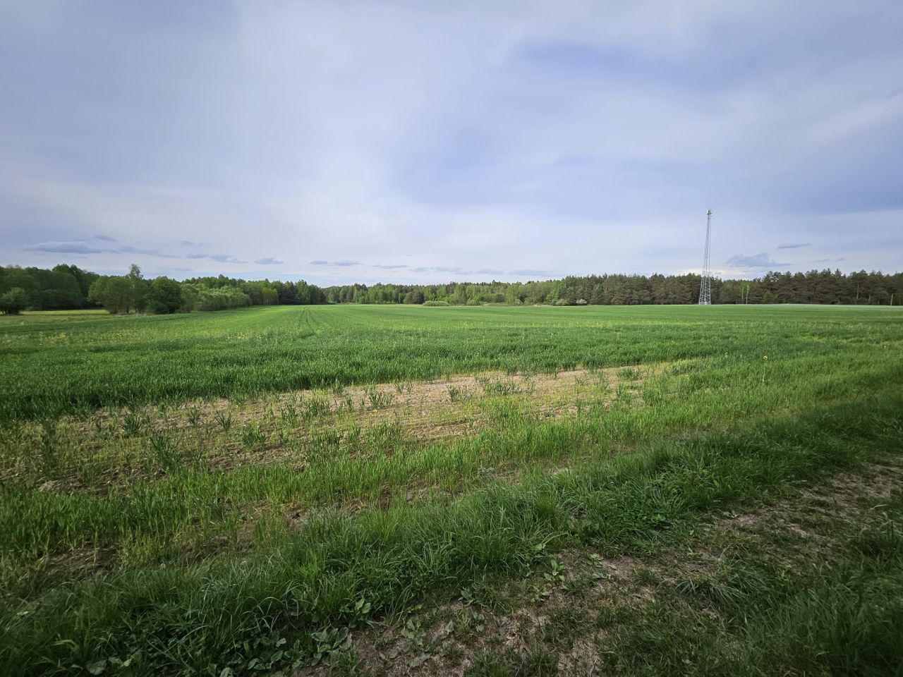 Działka rolno-budowlana Saki. Zdjęcie 3