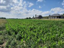 Działka budowlana Ruszowice, ul. Oliwkowa. Zdjęcie 1