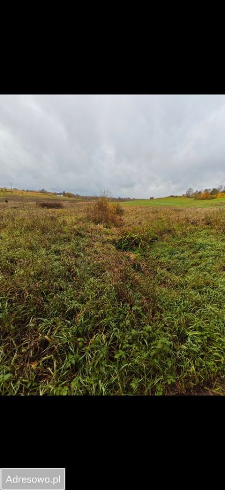 Działka rolno-budowlana Kiersztanowo. Zdjęcie 8