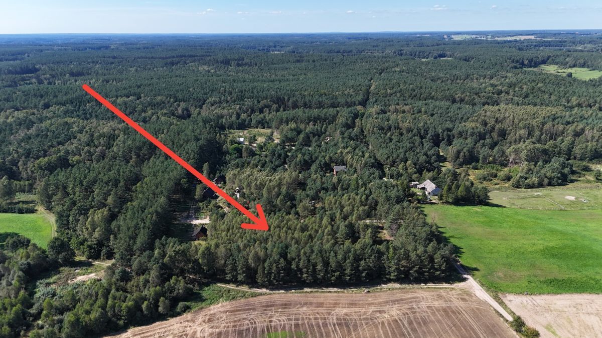 Działka budowlana Osowo Leśne. Zdjęcie 3