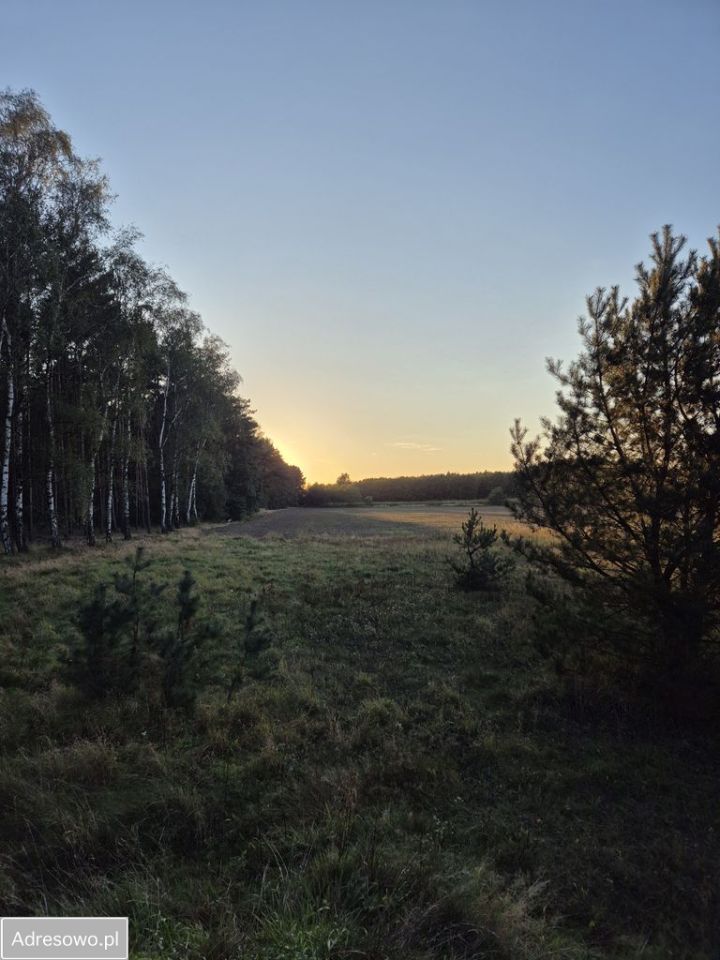 Działka budowlana Niedoradz. Zdjęcie 5