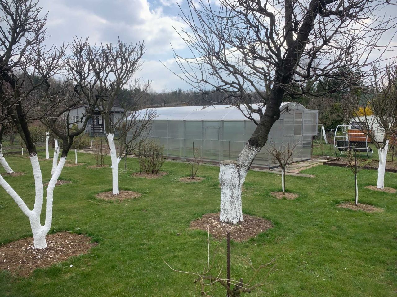 Działka rod Poręba, ul. Modrzewiowa. Zdjęcie 5