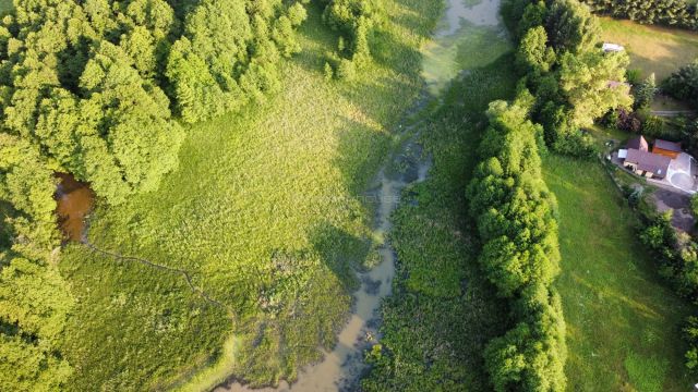 Działka rekreacyjna Arciechów. Zdjęcie 4
