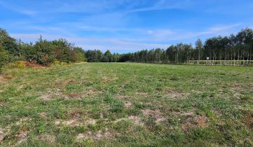 Działka budowlana Żytno