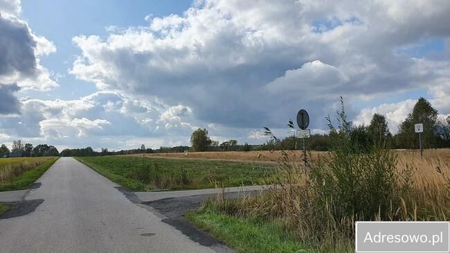 Działka rolno-budowlana Las Winiarski. Zdjęcie 2