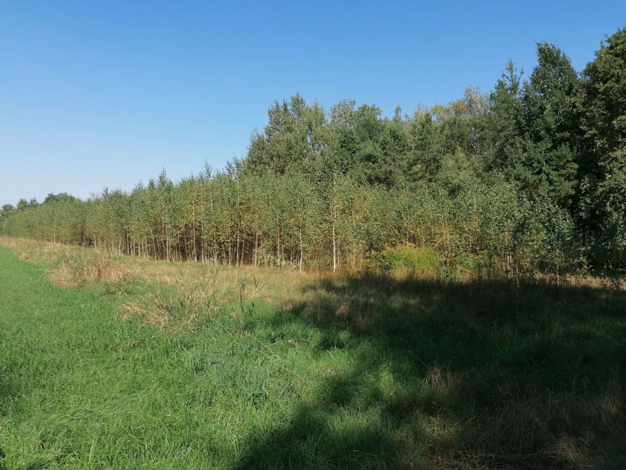 Działka rolna Aleksandrów. Zdjęcie 5