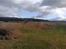 Działka rolna Grzymiradz. Zdjęcie 3