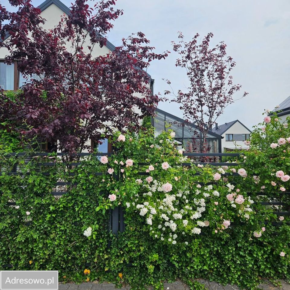 bliźniak, 5 pokoi Karwiany. Zdjęcie 3