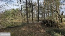 Działka rolna Drogoszowice. Zdjęcie 1