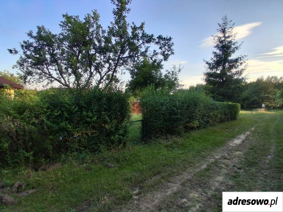 Działka rod Polkowice. Zdjęcie 5