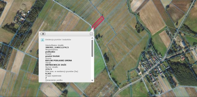 Działka rolna Hryniewicze Duże. Zdjęcie 1