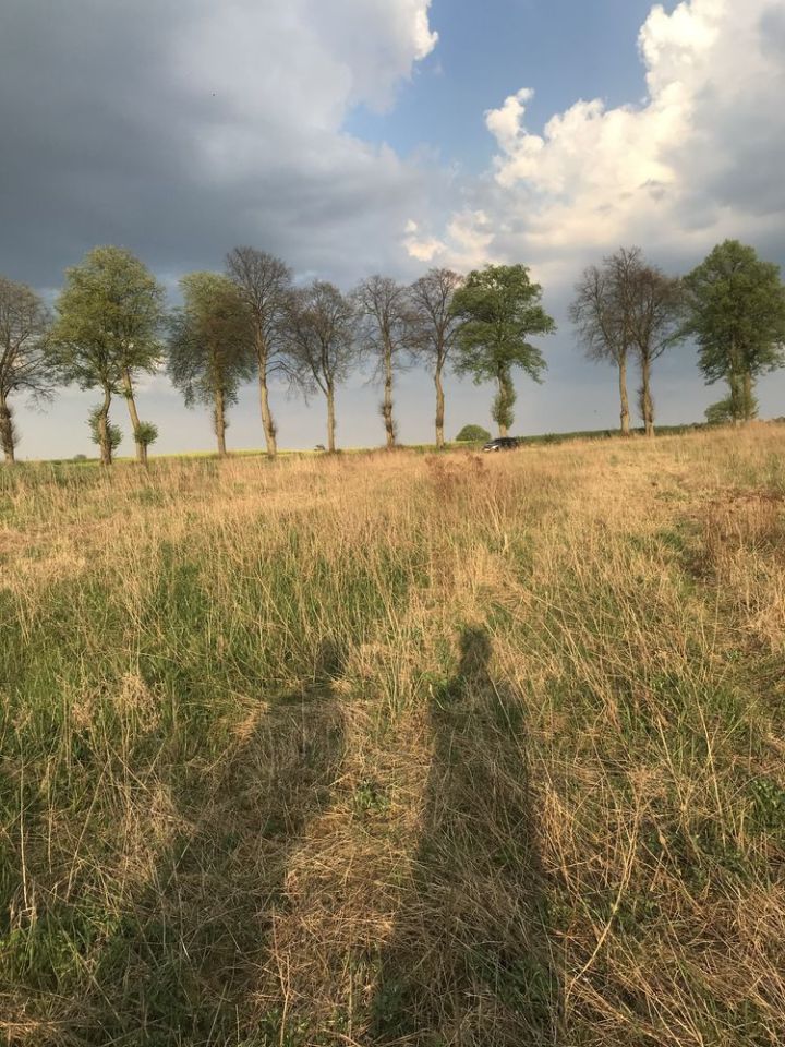 Działka budowlana Klęśnik. Zdjęcie 5