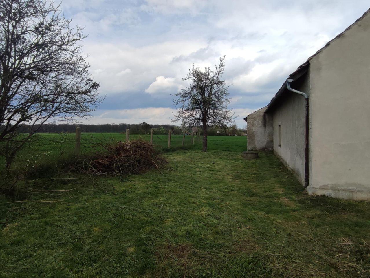 gospodarstwo Grabina. Zdjęcie 3