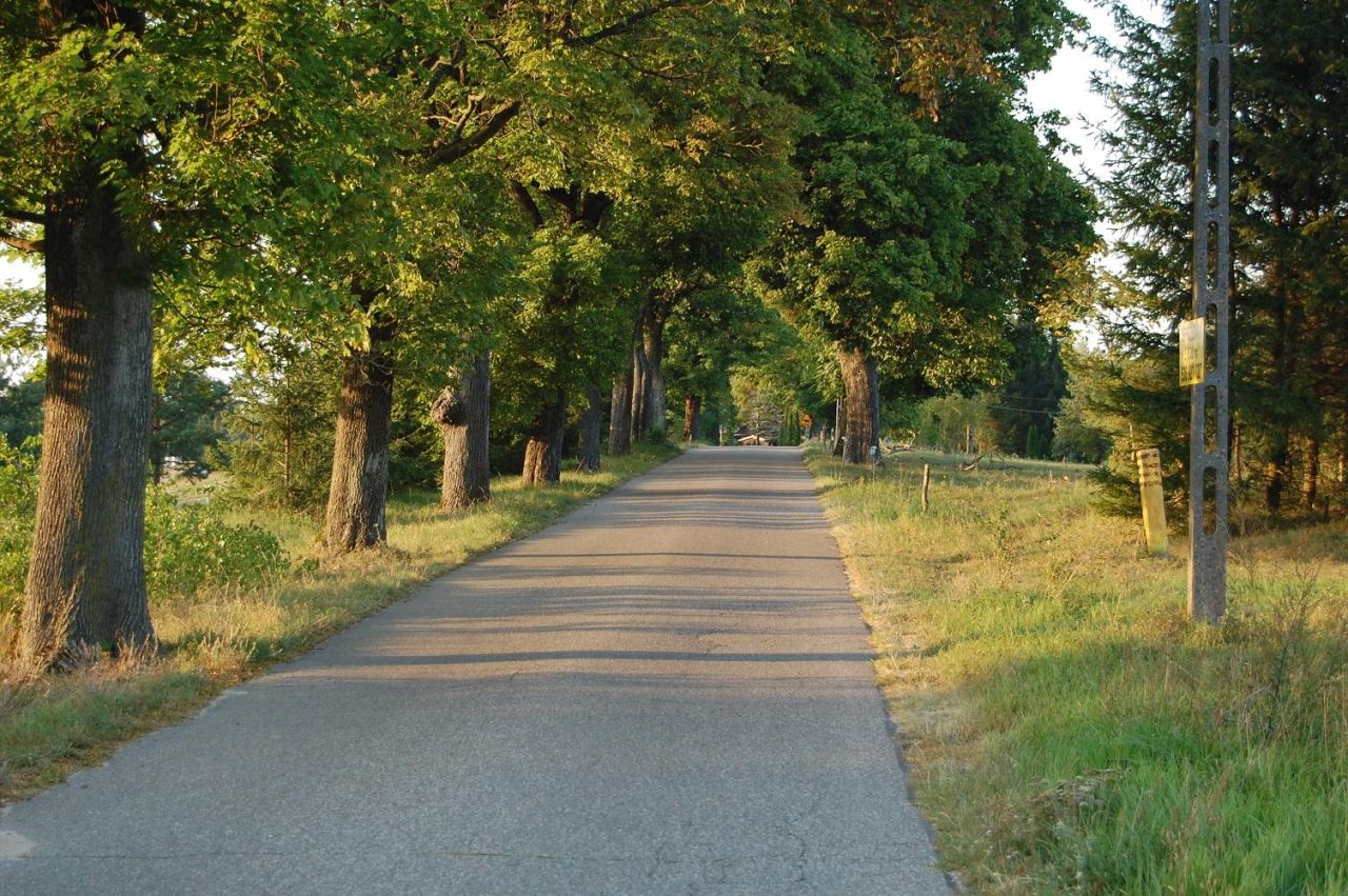 Działka rolno-budowlana Rychnowska Wola. Zdjęcie 7