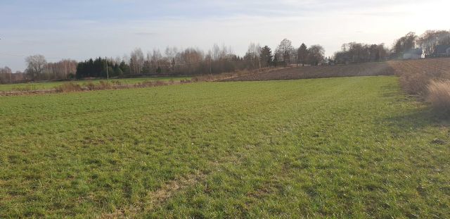 Działka rolno-budowlana Wola Suchożebrska. Zdjęcie 1