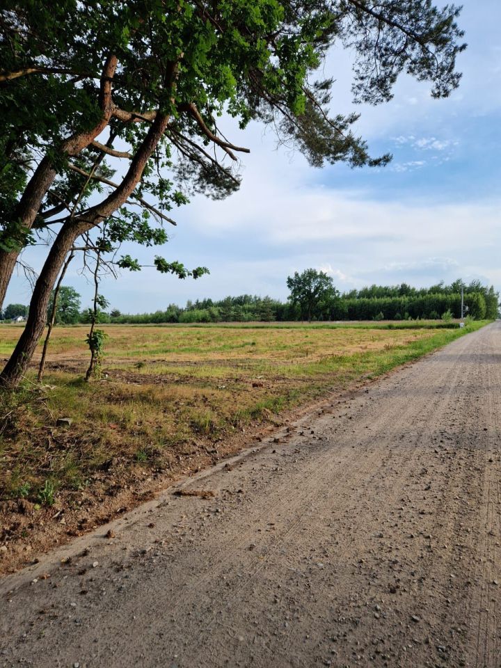Działka rolno-budowlana Martynów. Zdjęcie 3