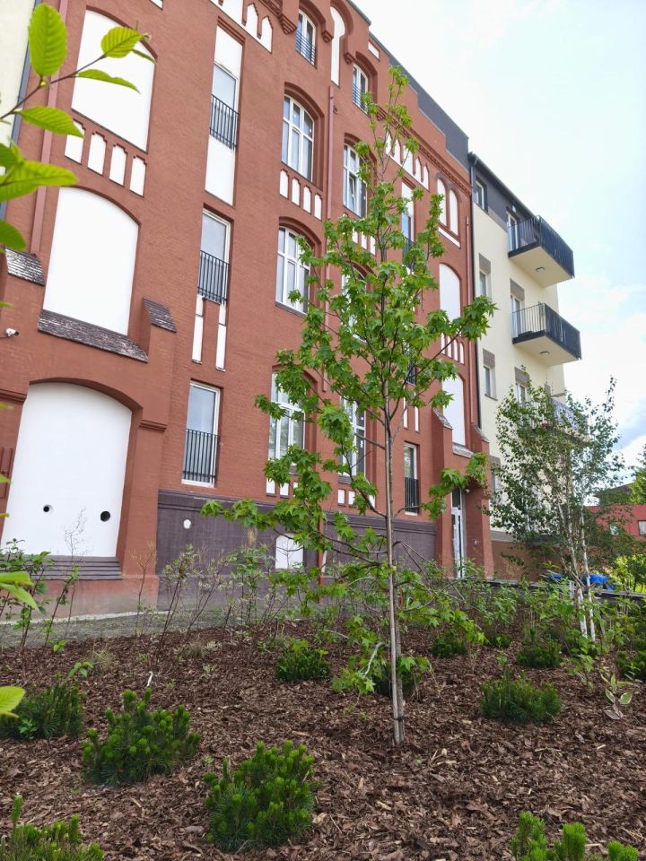 Mieszkanie 3-pokojowe Świętochłowice Lipiny, ul. dr. Antoniego Bukowego. Zdjęcie 5