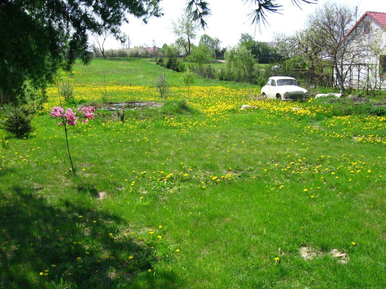 Działka siedliskowa Dębówka