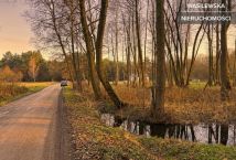 Działka budowlana Żuków. Zdjęcie 4