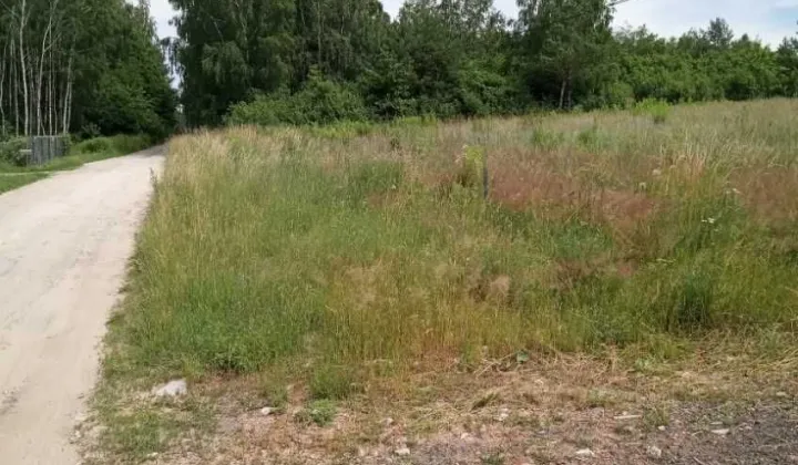 Działka budowlana Apolonia