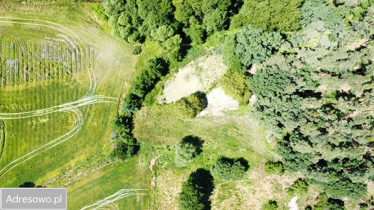 Działka rolno-budowlana Baranowice. Zdjęcie 4