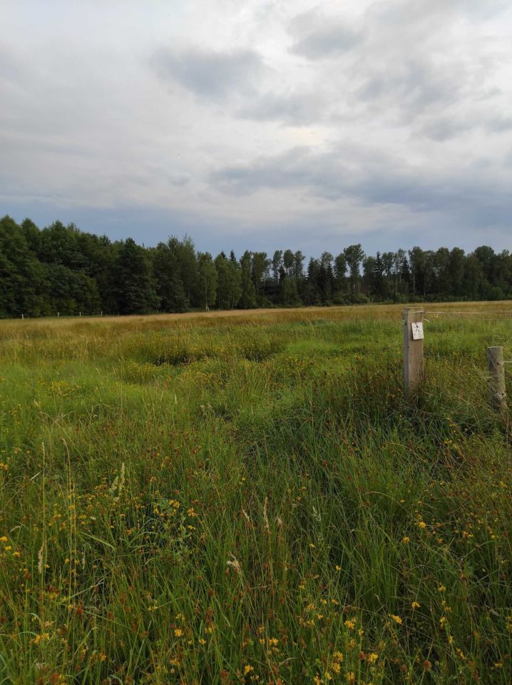 Działka rolno-budowlana Krzywczyce. Zdjęcie 7