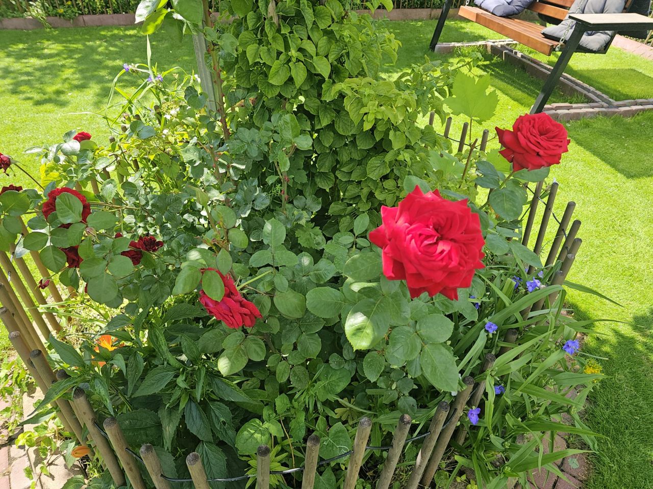 dom wolnostojący, 5 pokoi Borowa Góra, ul. Kameralna. Zdjęcie 29