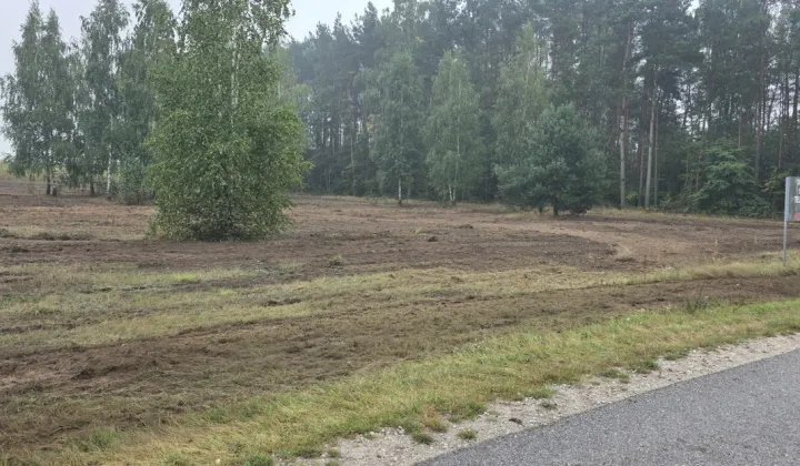 Działka siedliskowa Pogorzałe Ługi