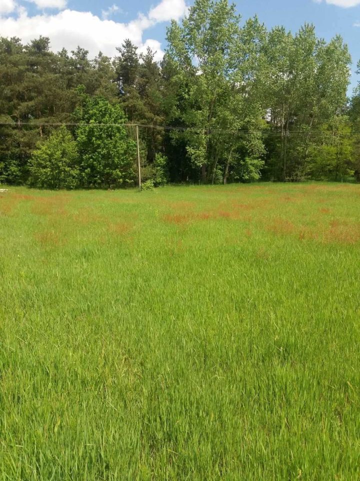 Działka rekreacyjna Kolemczyce. Zdjęcie 2