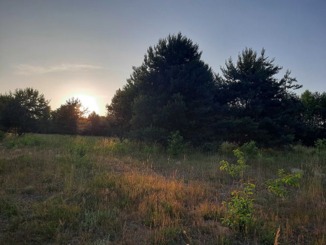 Działka rolno-budowlana Dębołęka. Zdjęcie 1