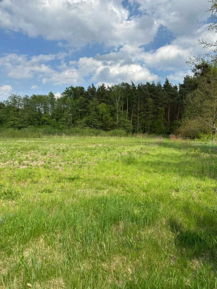 Działka rolna Linin