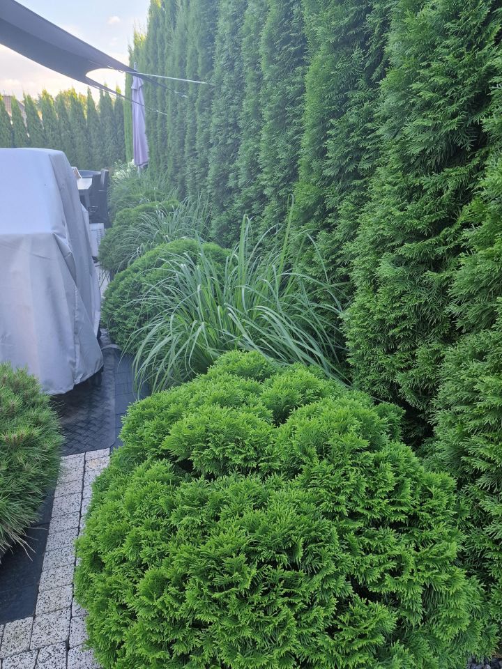 dom wolnostojący, 4 pokoje Serock, ul. Wyzwolenia. Zdjęcie 44