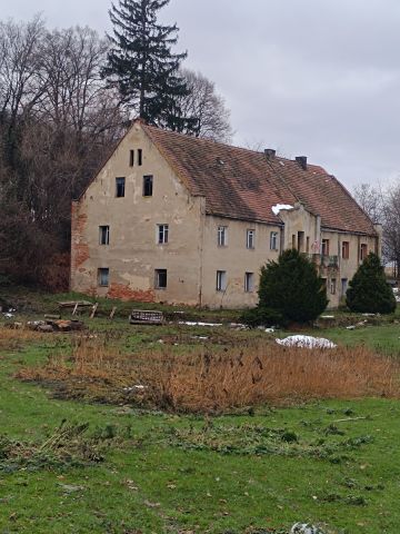 Działka rolno-budowlana Białowieża Siodłary. Zdjęcie 1